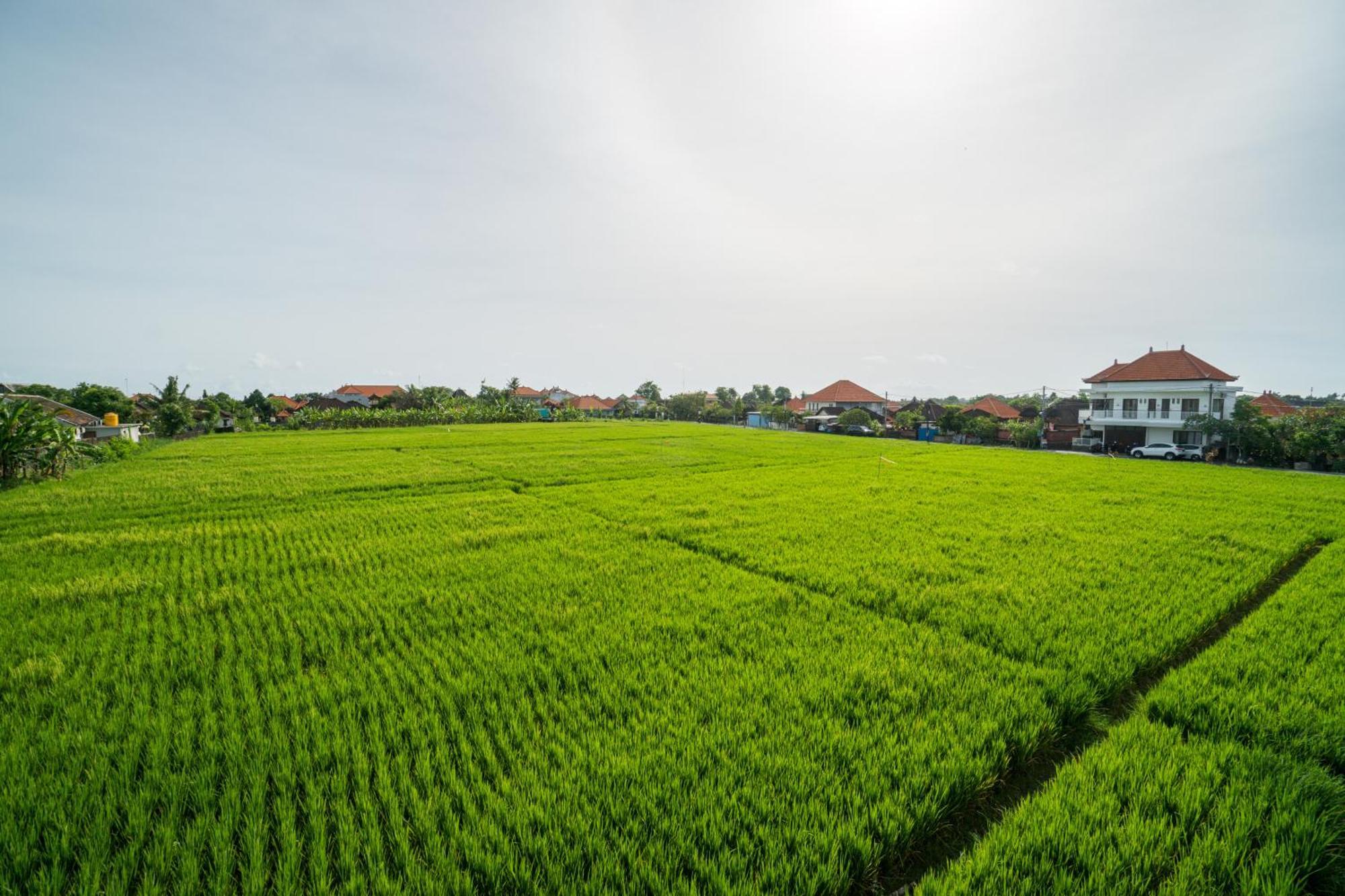 Raka Rai Homestay Canggu Exterior foto